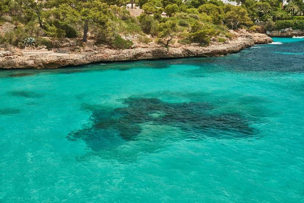 Hotel Barcel Ponent Playa Cala D´Or Natur foto